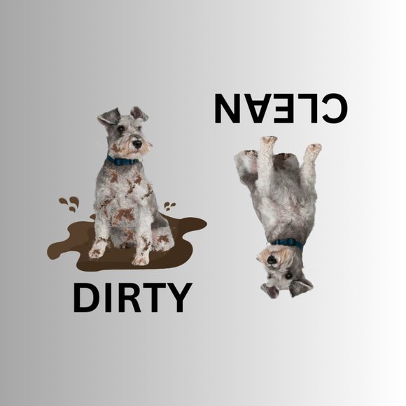 SCHNAUZER Clean Dirty Dishwasher Flexible Magnet - Picture 1 of 1